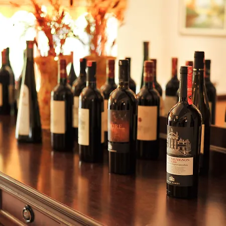 维拉艾普艺城中心酒店 酒店